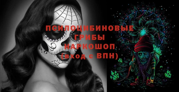 круглые Абаза